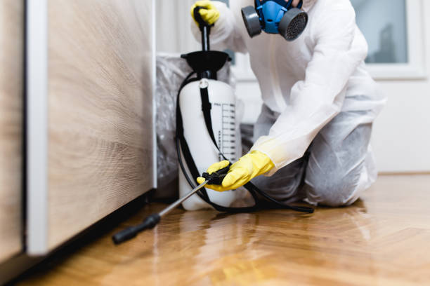 Best Termite Control Services  in Sylvan Springs, AL