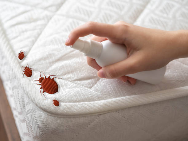 Best Flea Control Services  in Sylvan Springs, AL